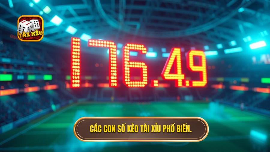 Các con số phổ biến trong kèo tài xỉu hôm nay