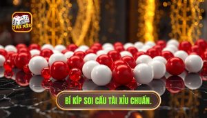 Những dạng cầu thường gặp nhất