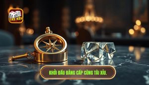 Người mới nên bắt đầu như thế nào